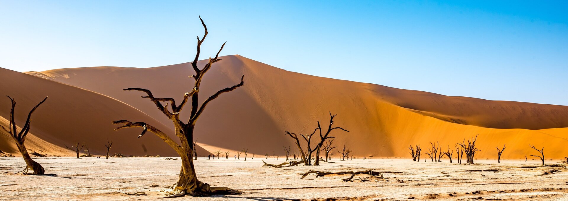 Namibia, Deadvlei, Wüste Namibia, Deadvlei, Wüste
