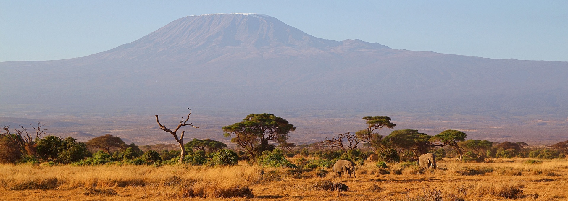 Afrika, Kilimandscharo, Kenia