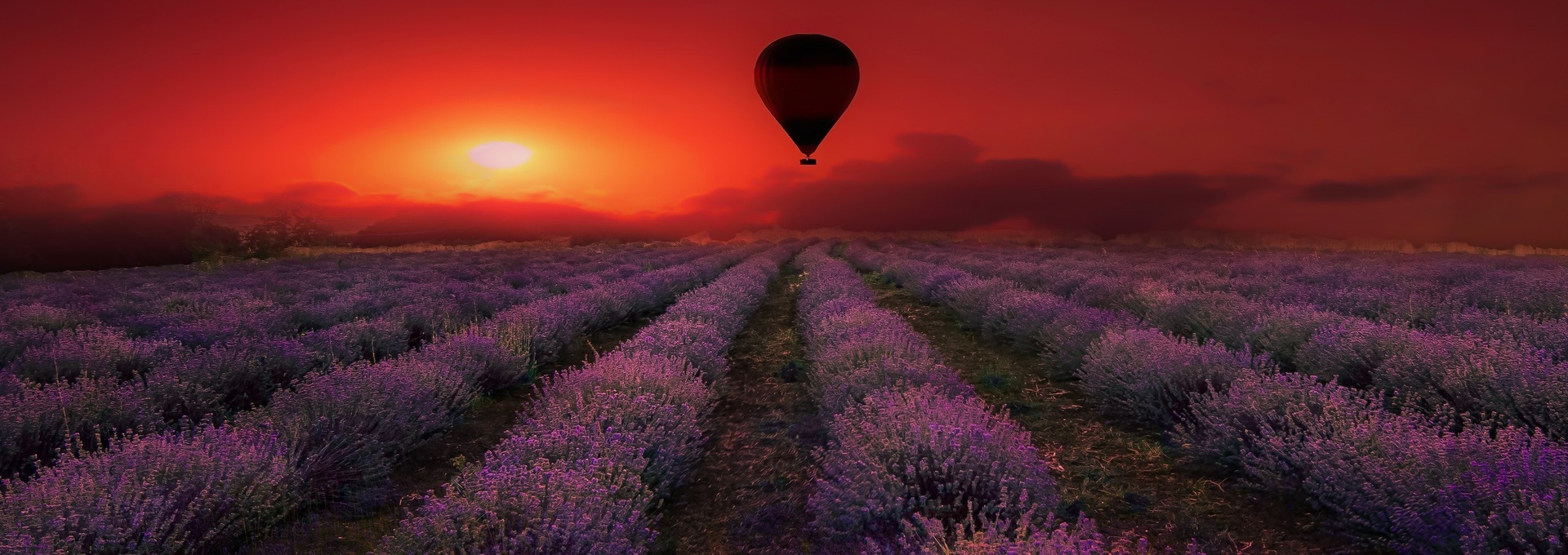 Lavendel, Frankreich, Natur Lavendel, Frankreich, Natur