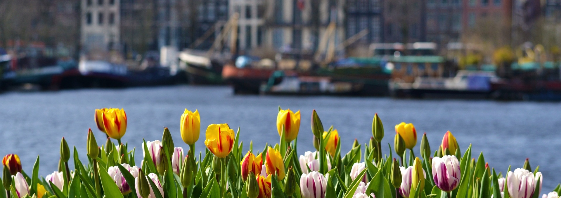 Niederlande Niederlande