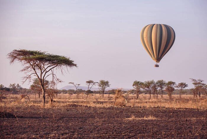 Johannesburg to Kenya