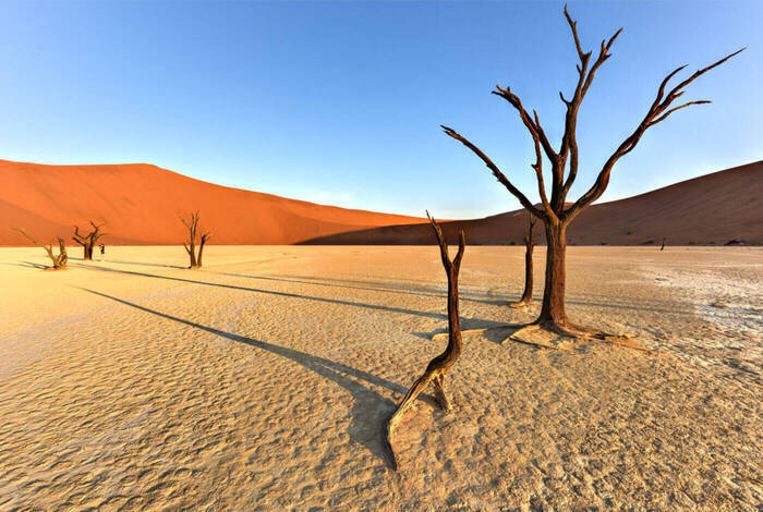 Premium Botswana & Namibia Premium Botswana & Namibia