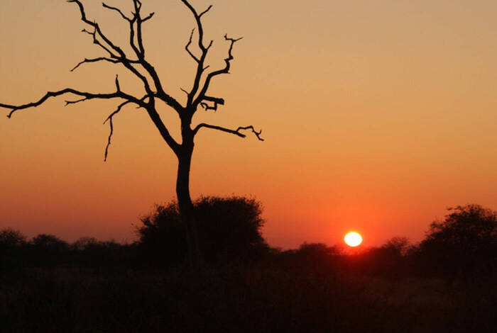 Premium Southern Africa in Depth