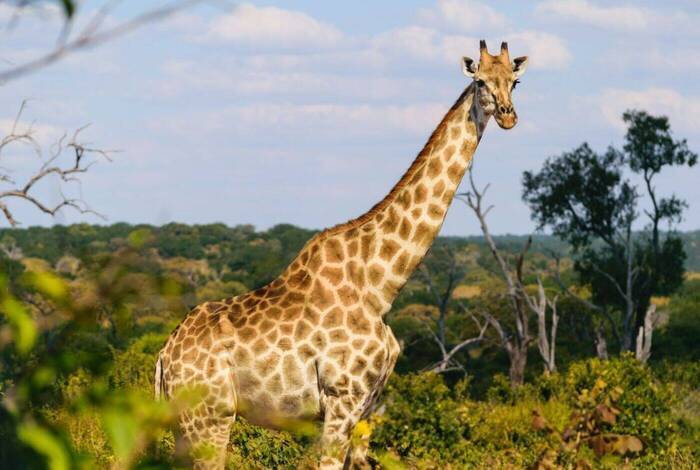 Experience Southern Africa