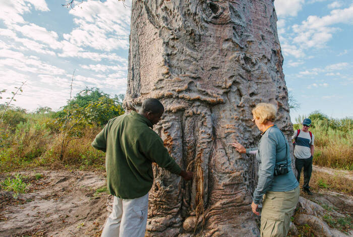 Experience Southern Africa