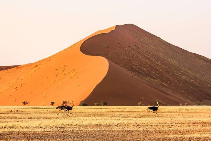 Africa Encompassed Northbound Africa Encompassed Northbound