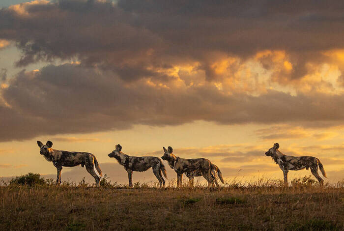 Southern Africa Adventure