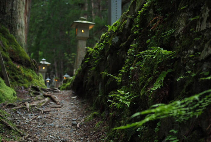 Japan: Koya-san & Kumano Kodo Trek