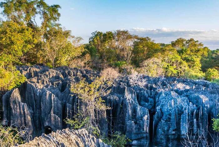 Madagaskar im Detail