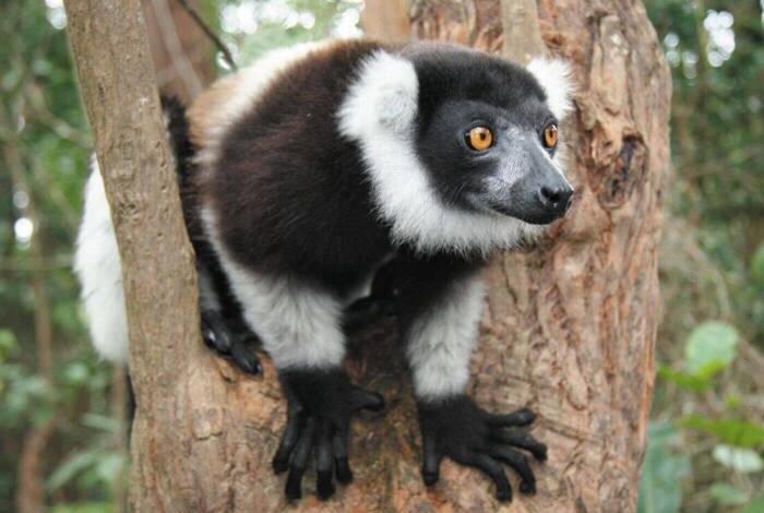 Madagaskar Abenteuer