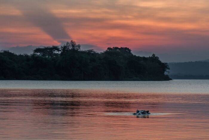 Essential Uganda and Gorilla Trek