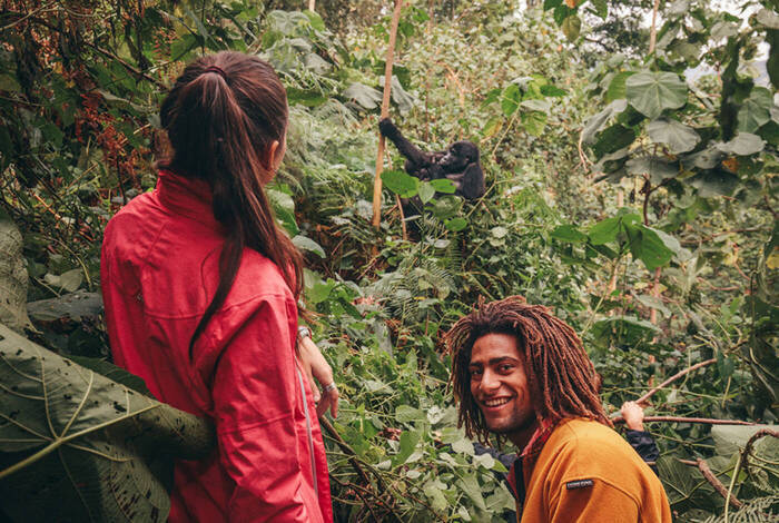 Gorillas & Game Parks Gorillas & Game Parks