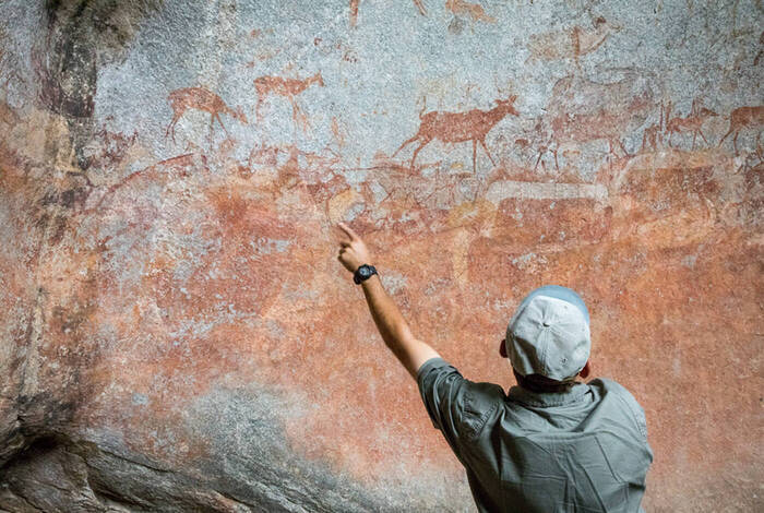 Zanzibar to Vic Falls