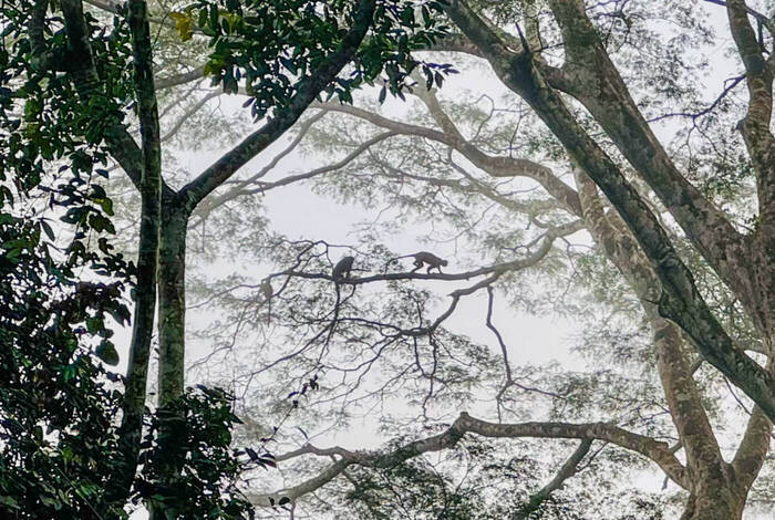 Sierra Leone Adventure: History, Culture & Nature