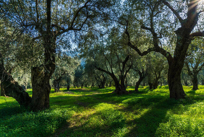 Mainland Greece Discovery