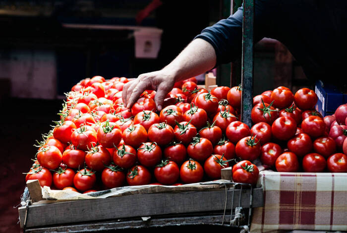 Kosovo, Albania & Macedonia Explorer