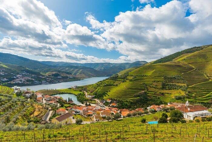 Portugal Real Food Adventure