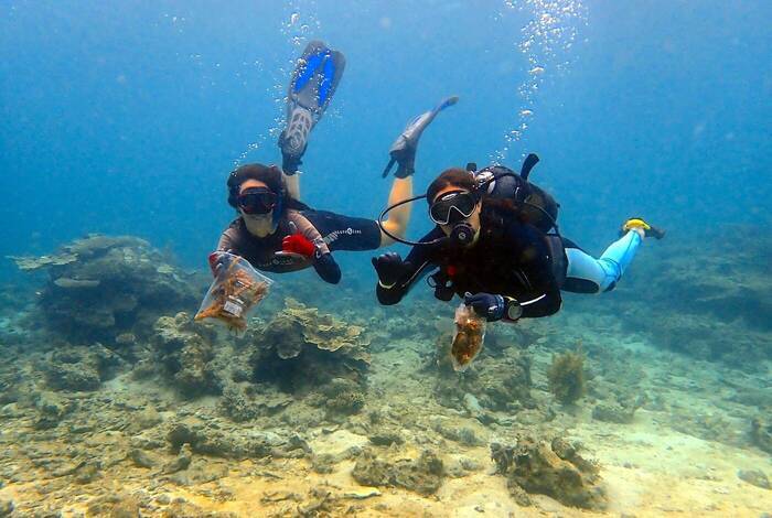 Volunteers beim Korallenschutz