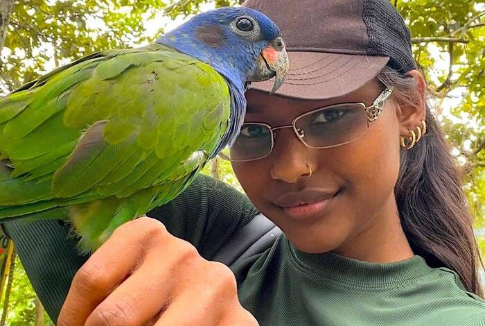 Tier in der Rettungsstation Tier in der Rettungsstation