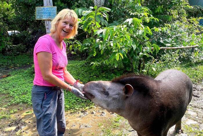 Volunteerin gemeinsam mit einem Tapir Volunteerin gemeinsam mit einem Tapir