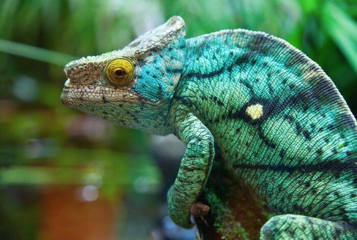 Madagascar Adventure Madagascar Adventure