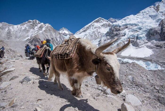 Epic Everest Base Camp Trek Epic Everest Base Camp Trek
