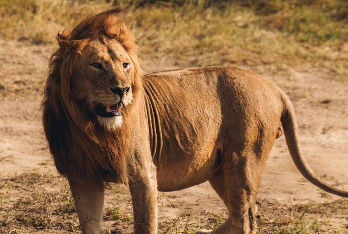 Real East Africa & Zanzibar Real East Africa & Zanzibar