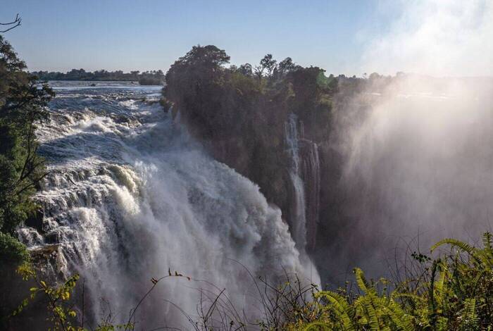 Gorillas to Vic Falls Gorillas to Vic Falls