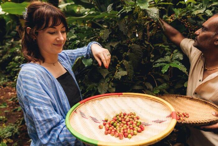 Stone Town to Nairobi