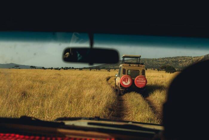 Beaches, Game Parks & Gorillas