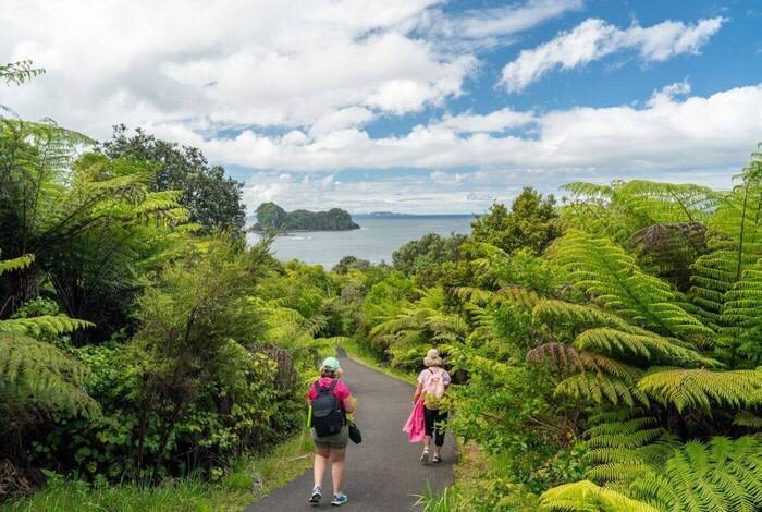 New Zealand Northern Trail (Southbound)