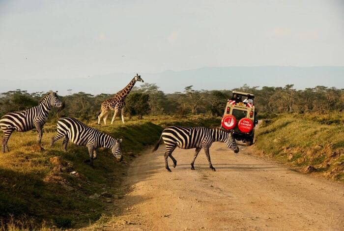 Premium Kenya Premium Kenya