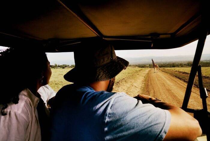 Gorillas & Game Parks Gorillas & Game Parks