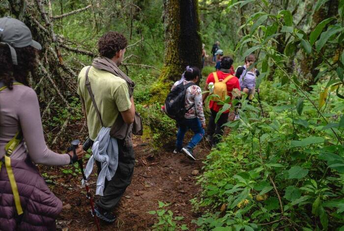Hiking in Mexico: Oaxaca’s Indigenous Highlands Hiking in Mexico: Oaxaca’s Indigenous Highlands