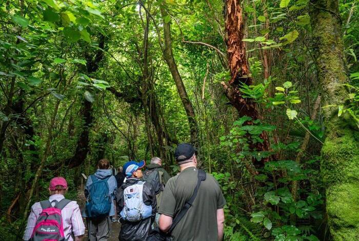 New Zealand Uncovered (Northbound)