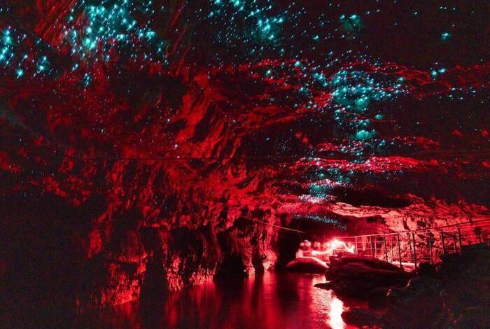 Premium New Zealand North Island