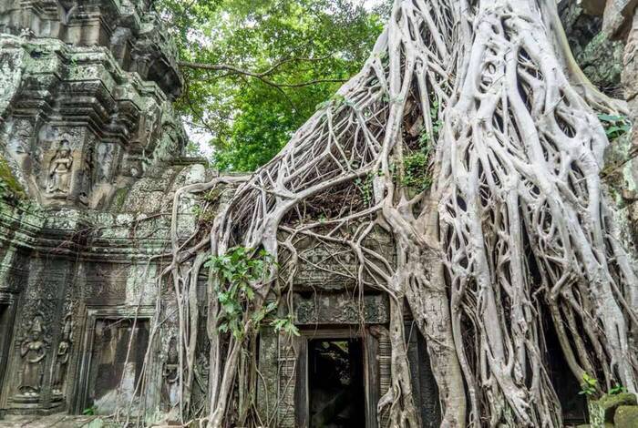 Real Cambodia
