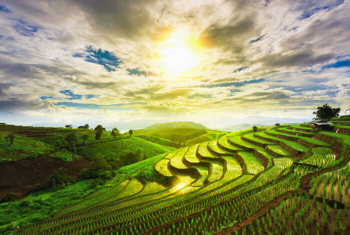 One Week in Northern Thailand