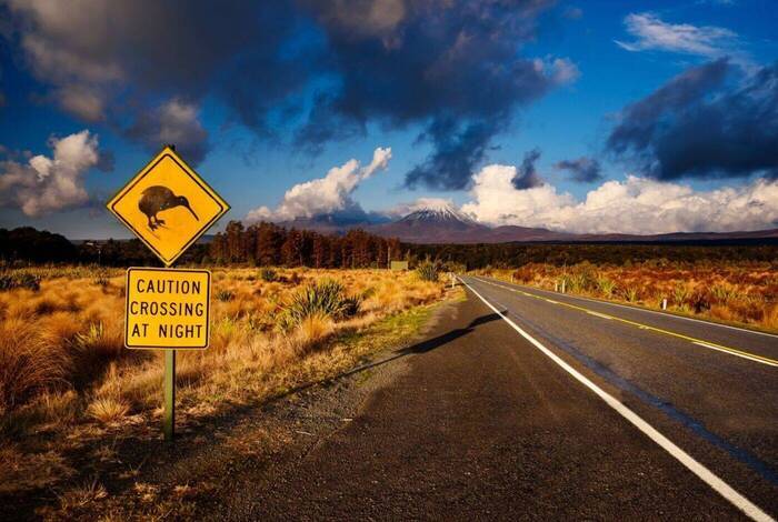 Queenstown Southern Loop