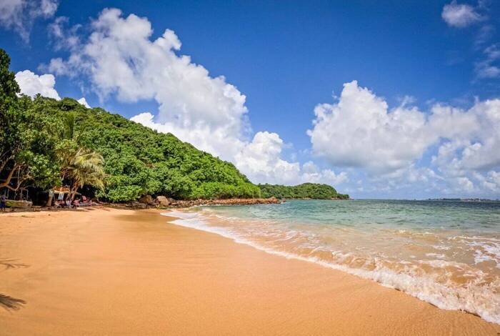 Sri Lanka Premium Family Holiday