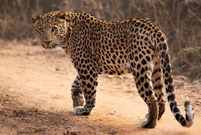 India Golden Triangle Premium Family Holiday India Golden Triangle Premium Family Holiday