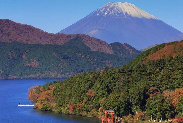 Premium Japan Premium Japan