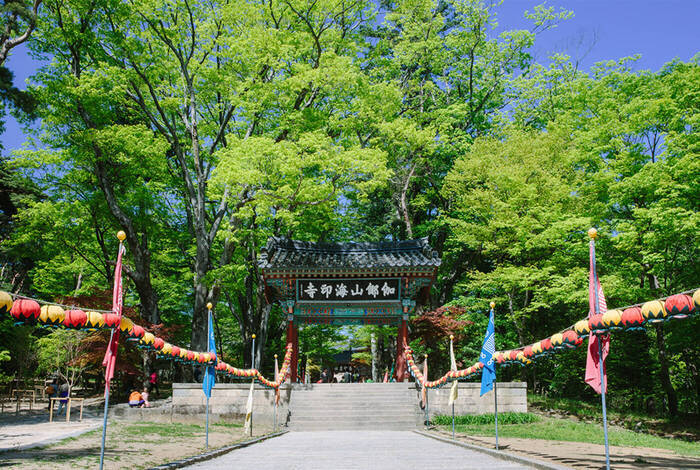 Premium South Korea Premium South Korea