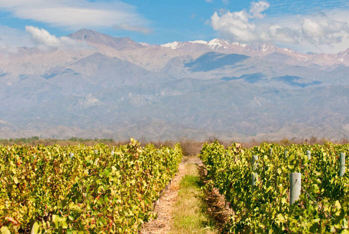 Premium Chile, Argentina & Brazil
