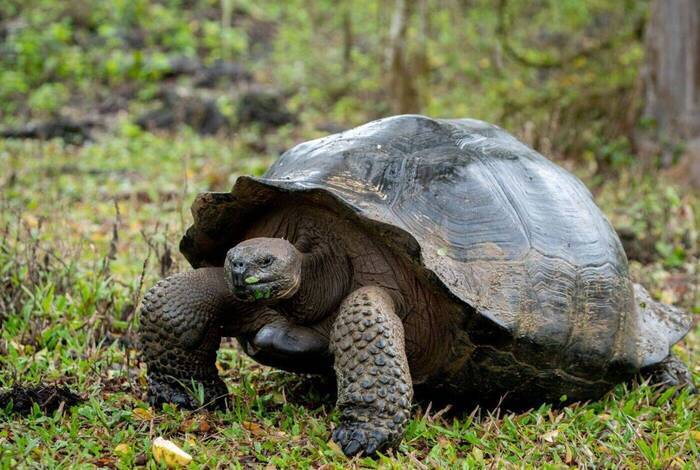 Galapagos Experience