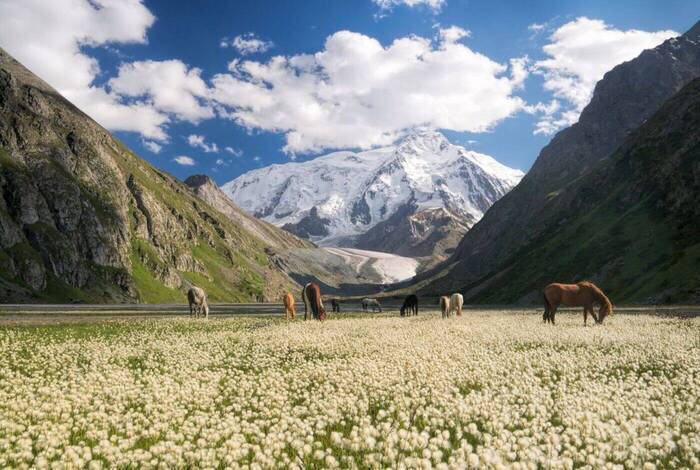 Premium Kazakhstan and Kyrgyzstan Premium Kazakhstan and Kyrgyzstan