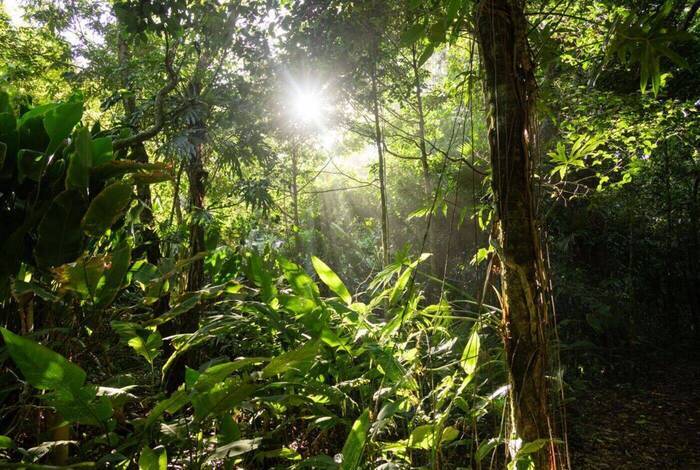 Premium Costa Rica: Tortuguero and Caribbean Coast Premium Costa Rica: Tortuguero and Caribbean Coast