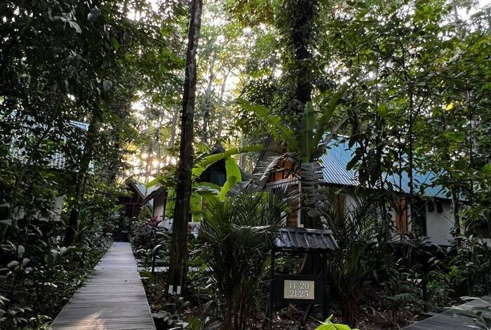 Premium Costa Rica in Depth