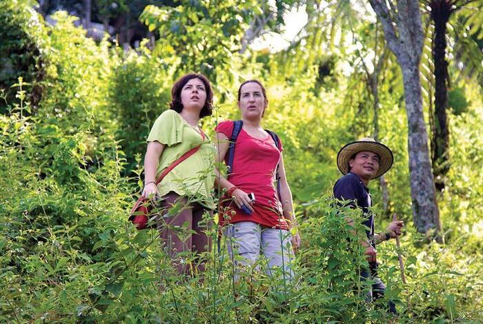 Premium Borneo in Depth Premium Borneo in Depth