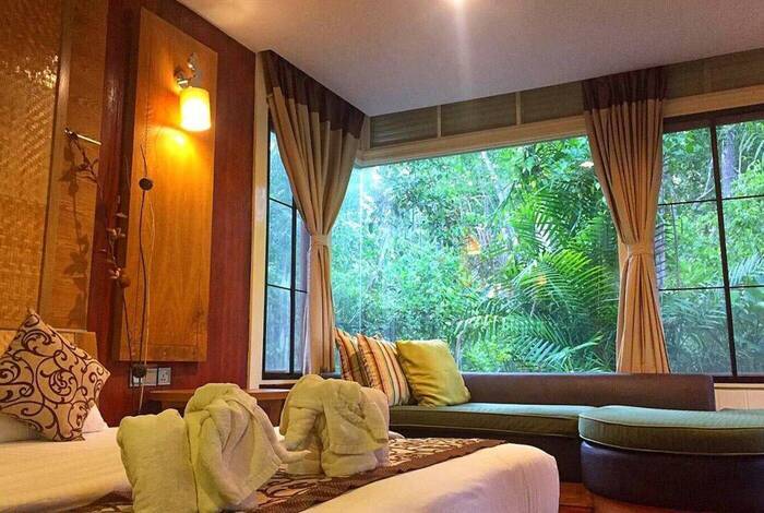 Premium Borneo in Depth Premium Borneo in Depth